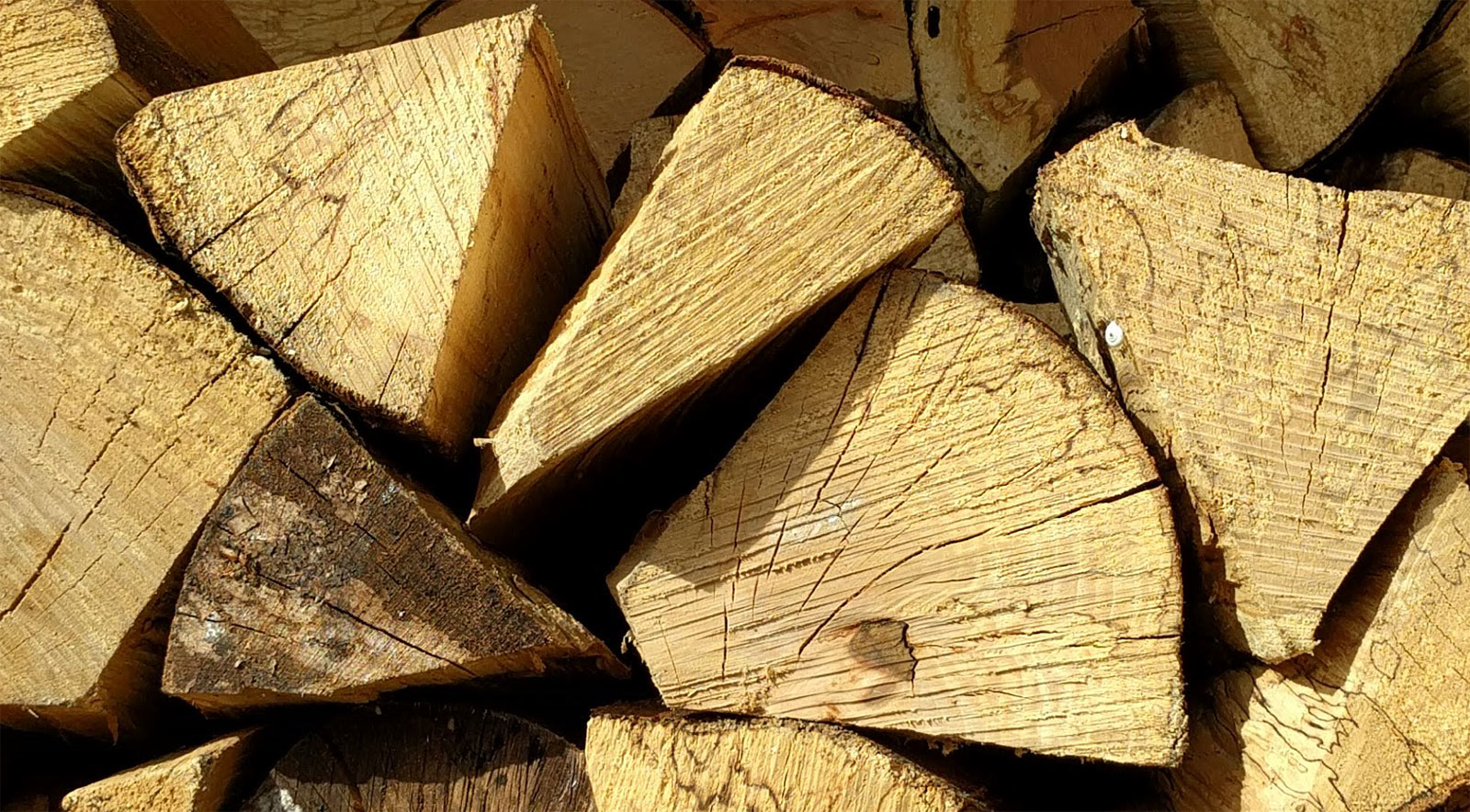 Logs 1 cubic metre