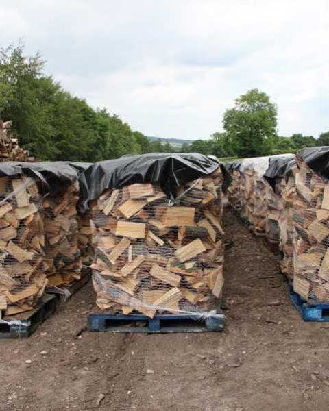Logs Drying