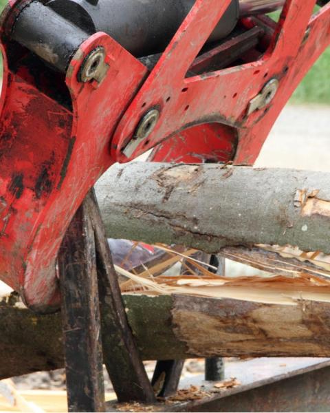Logs for firewood