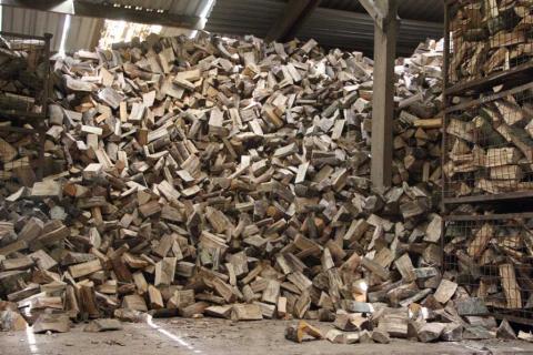 Logs for firewood